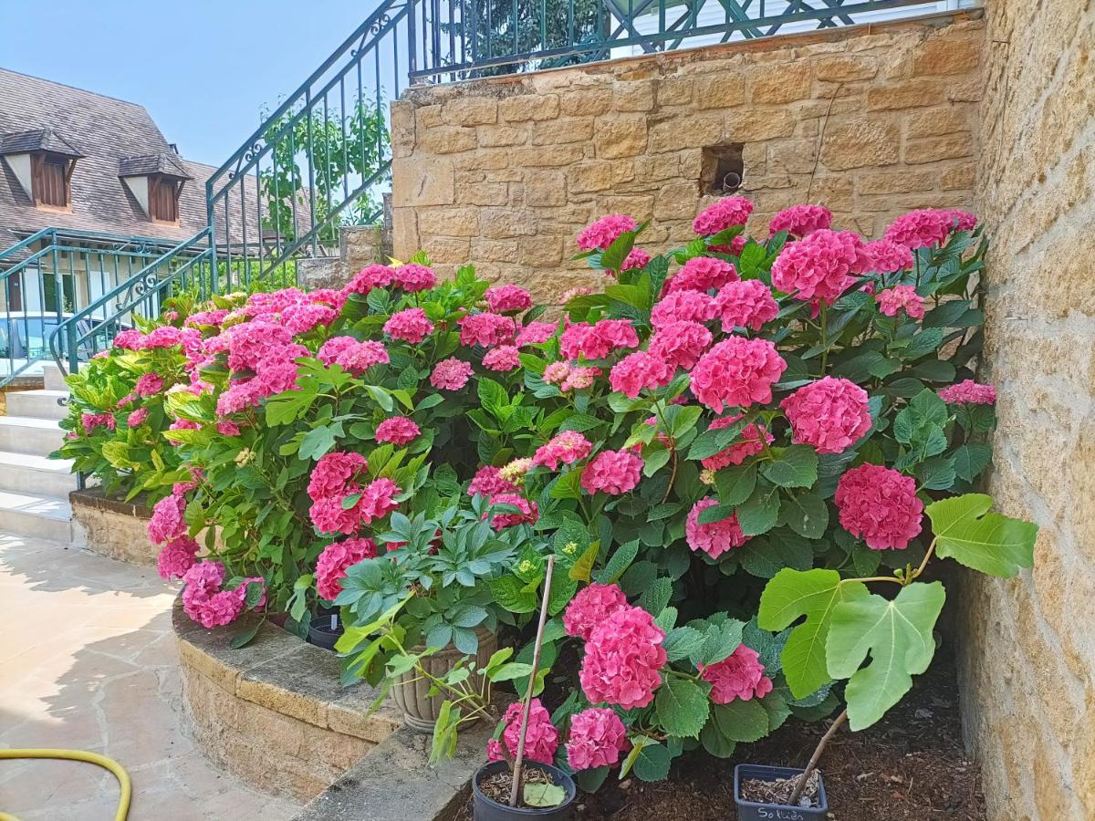 La Villa Perigourdine 사흘라 라 카네다 외부 사진